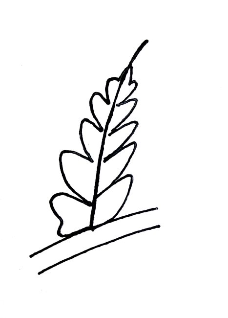 Mariopteris